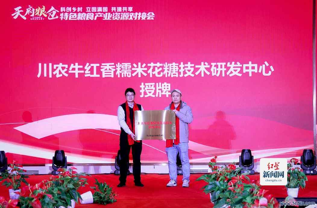 微信截图_20250117162641