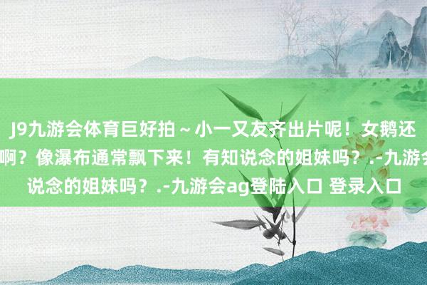 J9九游会体育巨好拍～小一又友齐出片呢！女鹅还深嗜的问姆妈这什么花啊？像瀑布通常飘下来！有知说念的姐妹吗？.-九游会ag登陆入口 登录入口
